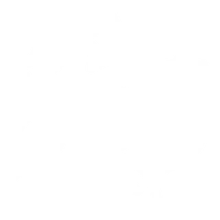 Kokemuskuvake